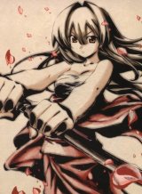 BUY NEW seto no hanayome - 136286 Premium Anime Print Poster